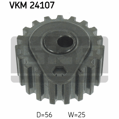 VKM 24107