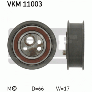 VKM 11003
