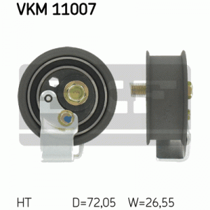 VKM 11007