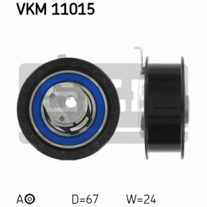 VKM 11015