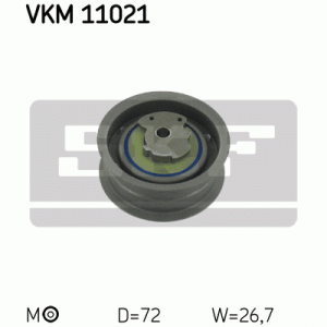 VKM 11021