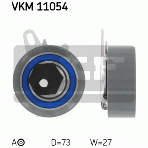 VKM 11054