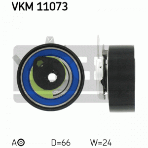 VKM 11073