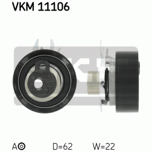VKM 11106