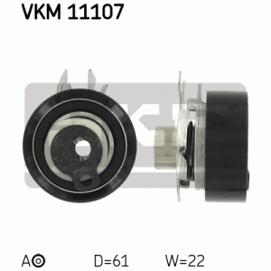 VKM 11107