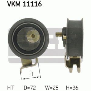 VKM 11116