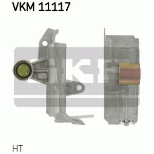 VKM 11117