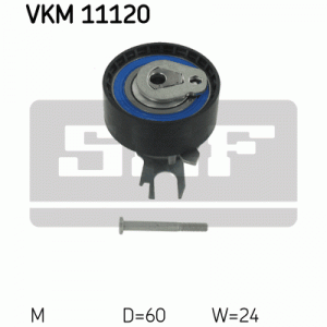 VKM 11120