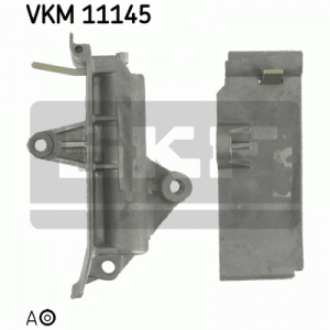 VKM 11145