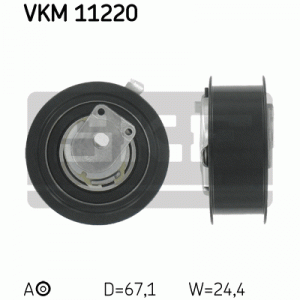 VKM 11220