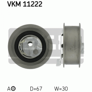 VKM 11222