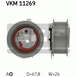 VKM 11269