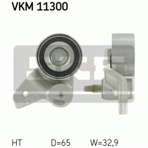 VKM 11300