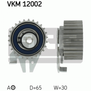 VKM 12002