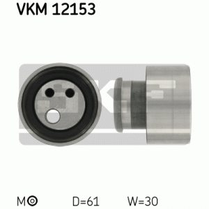 VKM 12153