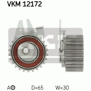VKM 12172