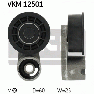 VKM 12501