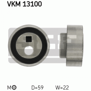 VKM 13100
