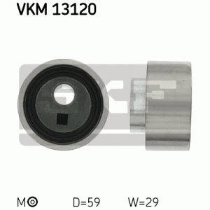VKM 13120