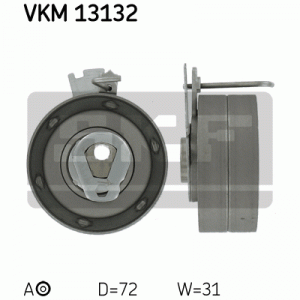 VKM 13132