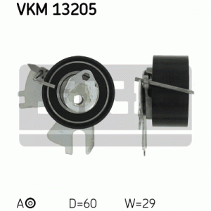 VKM 13205