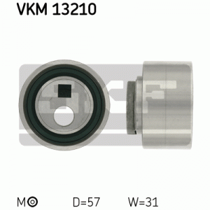VKM 13210