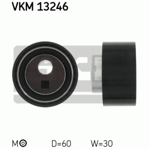 VKM 13246