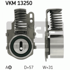 VKM 13250