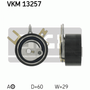 VKM 13257
