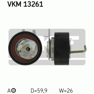 VKM 13261