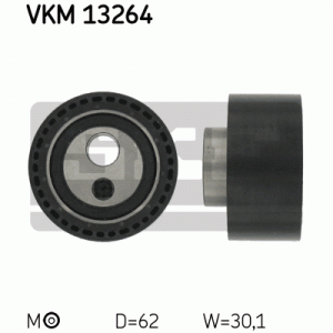 VKM 13264