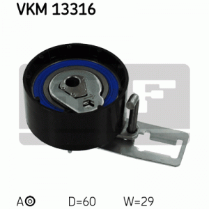 VKM 13316