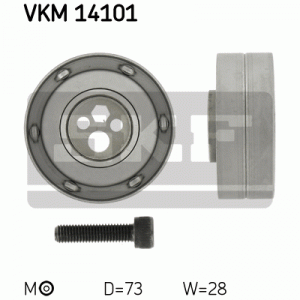 VKM 14101