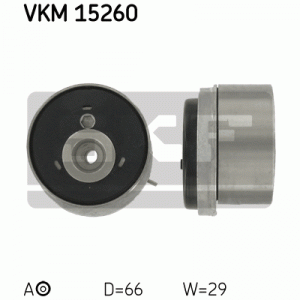 VKM 15260