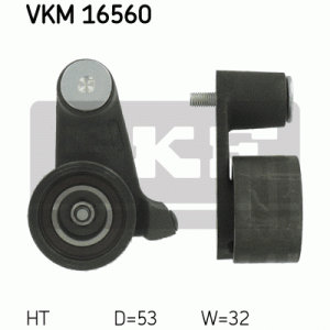 VKM 16560