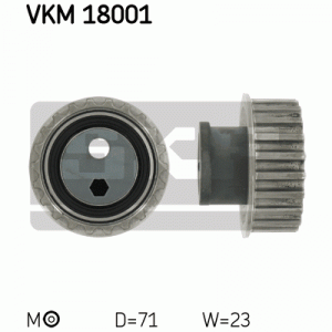 VKM 18001