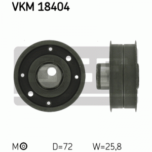 VKM 18404