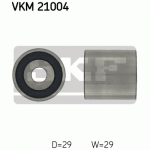 VKM 21004