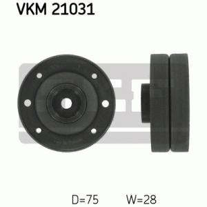 VKM 21031