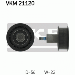 VKM 21120