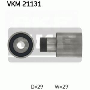 VKM 21131