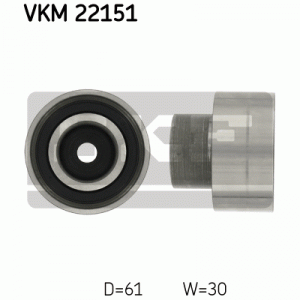 VKM 22151