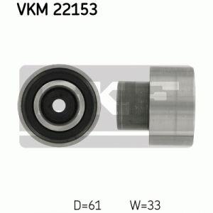 VKM 22153