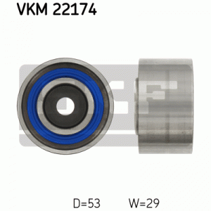 VKM 22174