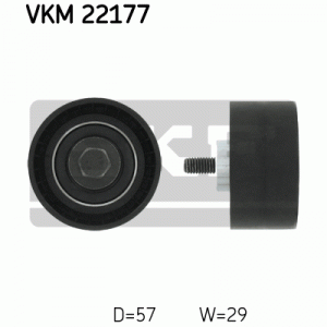 VKM 22177