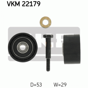 VKM 22179