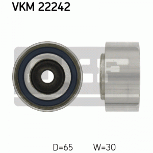 VKM 22242