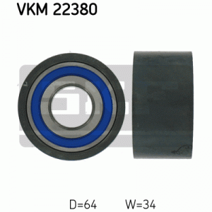 VKM 22380