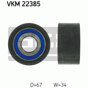 VKM 22385