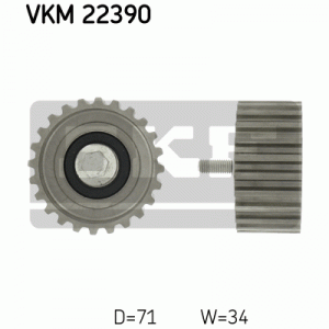 VKM 22390